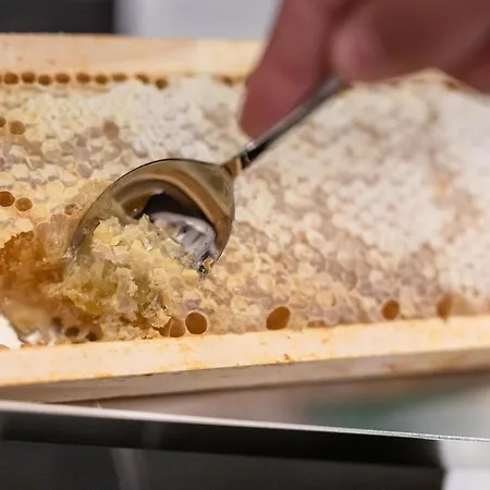 Curt Di Clement Eco Mobility Hotel Tirano